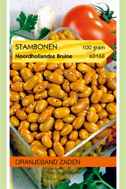 Oranjeband zaden Droogbonen Noordhollandse Bruine